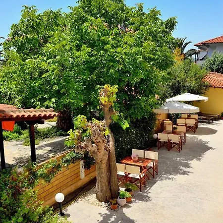 Studio Nikiti Beach *